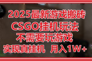 2025最新游戏搬砖，CSGO挂机，不需要玩游戏，实现真挂机，月入1W+