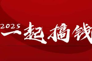 2025年，请“不择手段”去搞钱!