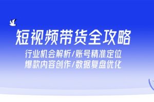 短视频带货全攻略，行业机会解析/账号精准定位/爆款内容创作/数据复盘优化