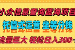 稳定日入300＋，小众信息查询蓝海项目，全程懒人式托管，解放你的时间