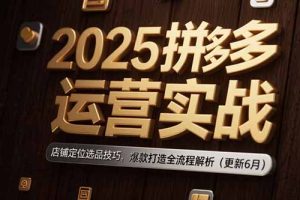 2025拼多多运营实战：店铺定位选品技巧，爆款打造全流程解析（更新6月）
