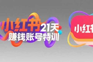 小红书21天赚钱账号特训：黄金定位技巧，高转粉文案创作，科学引流策略