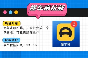 懂车帝邪修拉新玩法,简单注册回填,不sm,单个拉新12rmb,轻松日入200+