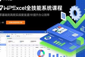 WPS Excel全技能系统课程：从零基础到高阶实战全覆盖，全面提升办公效率