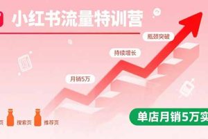 小红书流量特训营：突破流量瓶颈，实现店铺持续增长，单店月销5万实战