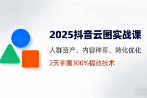 2025抖音云图实战课，人群资产、内容种草、转化优化，2天掌握300%提效技术