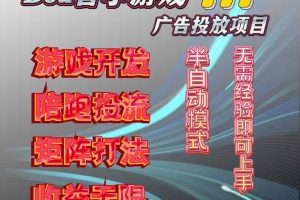 抖音小游戏广告推广项目，2025最新实测落地，单日收益300+