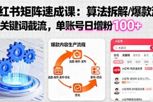 小红书矩阵起号速成课：算法拆解/爆款流水线/关键词截流 单账号日增粉100+