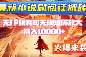 小说阅读搬砖单机每天收益200-400+ 无IP限制可无限矩阵放大 —