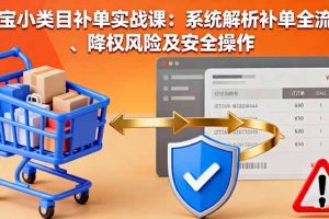 淘宝小类目补单实战课：系统解析补单全流程、降权风险及安全操作