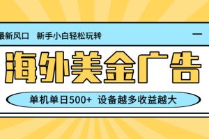 最新蓝海项目，海外美金广告，单机单日500+，可矩阵放大，设备越多收益…