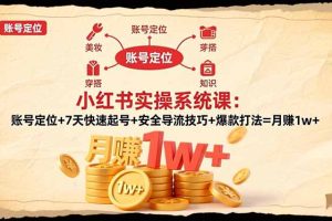 小红书实操系统课：账号定位+7天快速起号+安全导流技巧+爆款打法=月赚1w+