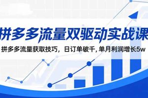 拼多多流量双驱动实战课:拼多多流量获取技巧,日订单破千,单月利润增长5w