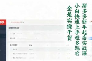 拼多多新手起店实战课：小白快速上手拼多多运营，避开踩坑，全是实操干货