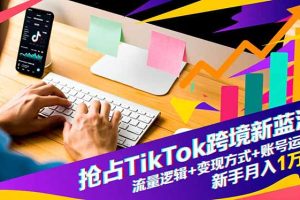 抢占TikTok跨境新蓝海：流量逻辑+变现方式+账号运营，新手月入1万+