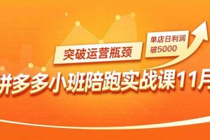 拼多多小班陪跑实战课11月，强付费矩阵、原价活动、暗券引流，突破运营瓶颈，单店日利润破5000