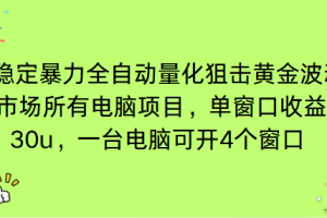 电脑EA策略挂机项目单窗口收益20-30u，单电脑可挂5-10个窗口收益稳健4位数