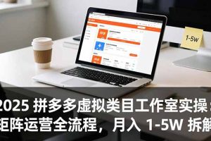 2025 拼多多虚拟类目工作室实操：矩阵运营全流程，月入 1-5W 拆解