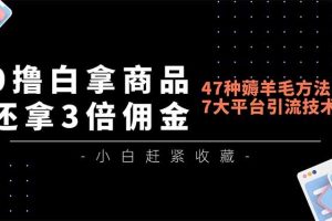0撸白拿商品,还拿3倍佣金,47种薅羊毛方法,7大平台全方位引流技术教学,精专月入过万