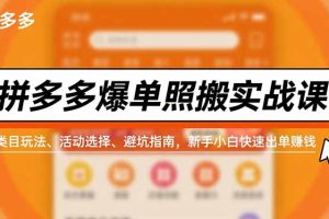 拼多多爆单照搬实战课，类目玩法、活动选择、避坑指南，新手小白快速出单赚钱