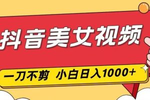 抖音美女视频，一刀不剪，两分钟一条视频，小白轻松上手，日入1000