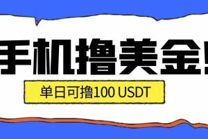 最新手机撸美金项目,单日产值·100U+,将会是2026年最新的风口项目 目前在搞的人比较少