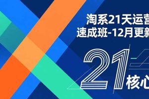 淘系21天运营速成班-12月更新，能够快速复制落地，系统掌握淘系盈利运营的核心技能